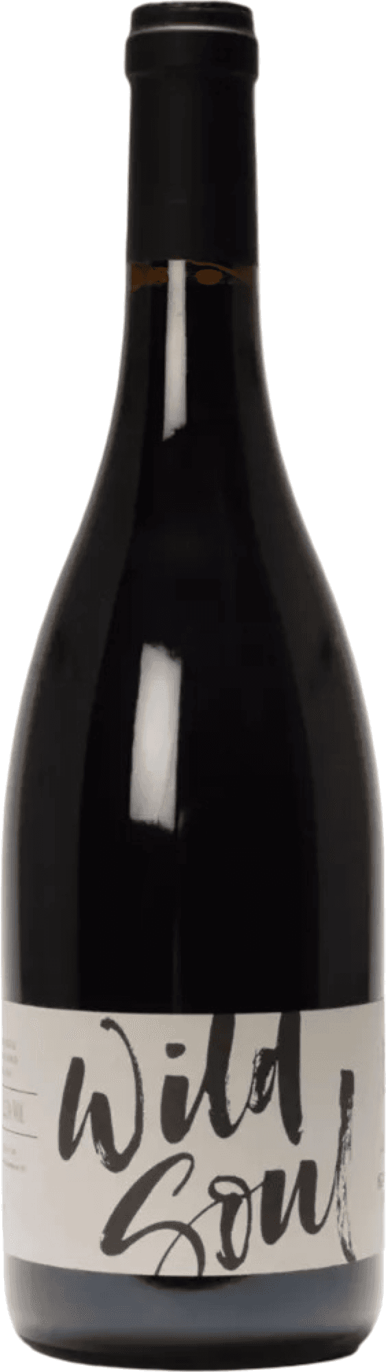 Julien Sunier Wild Soul