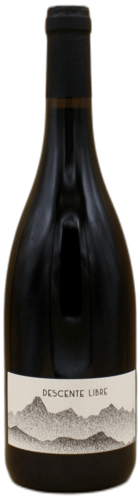 Julien Sunier Descent Libre